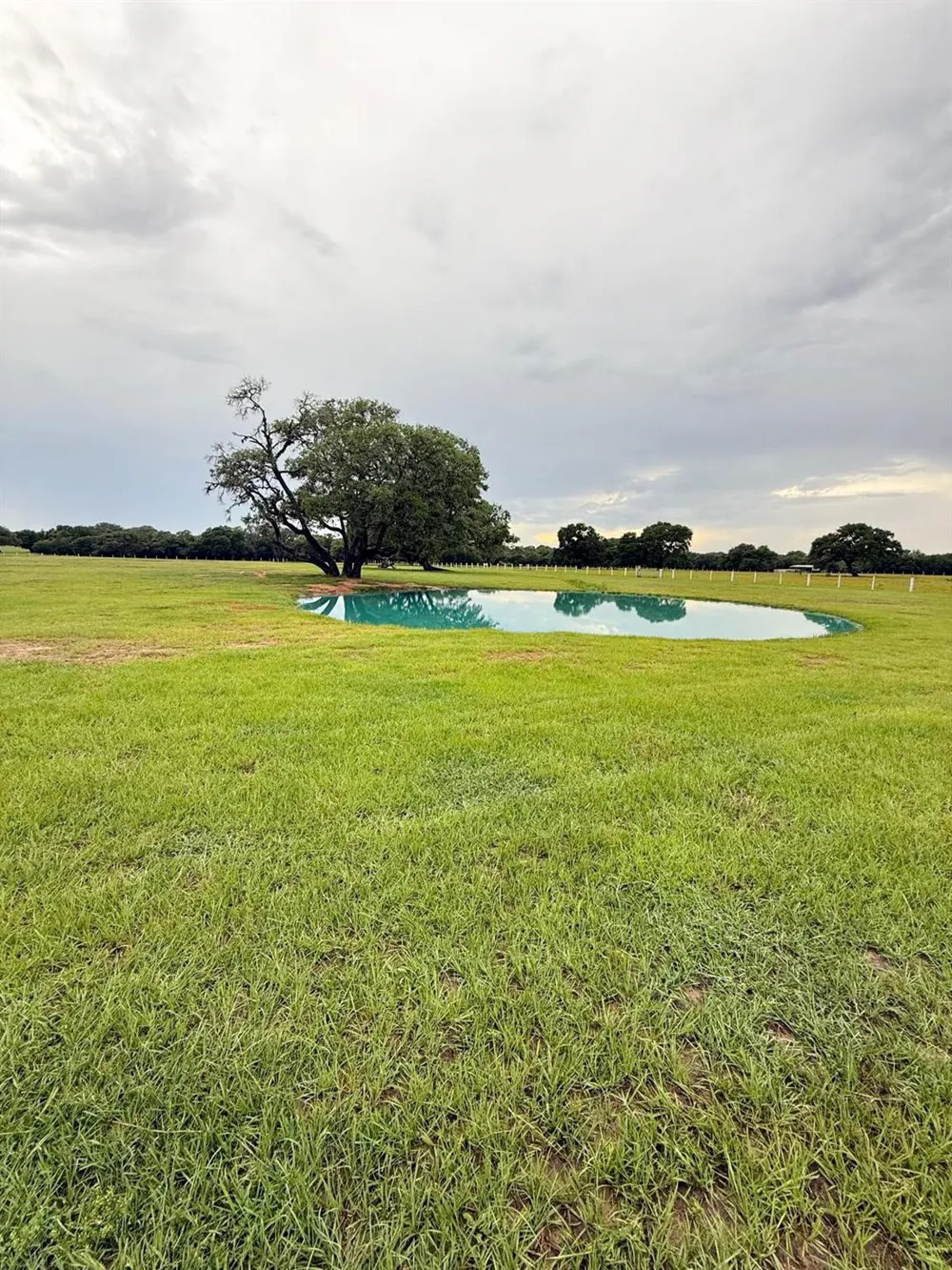 986 Private Road 1024 Hallettsville, TX 77964