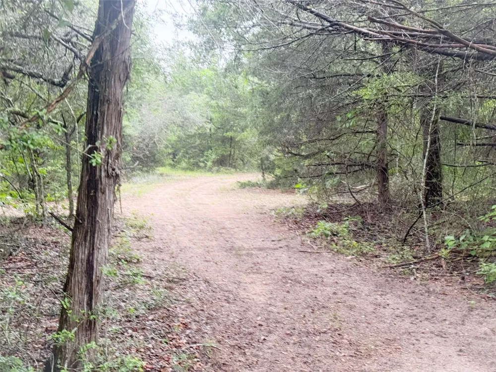 986 Private Road 1024 Hallettsville, TX 77964
