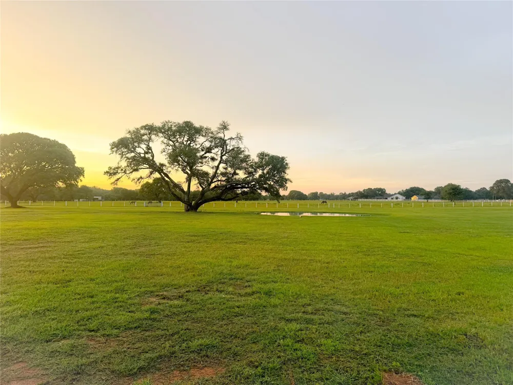 986 Private Road 1024 Hallettsville, TX 77964