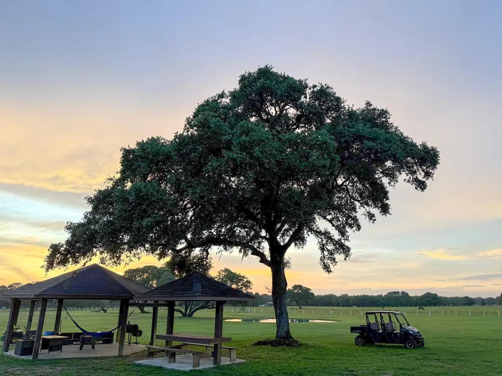 986 Private Road 1024 Hallettsville, TX 77964