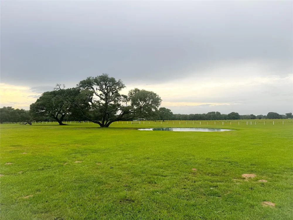 986 Private Road 1024 Hallettsville, TX 77964