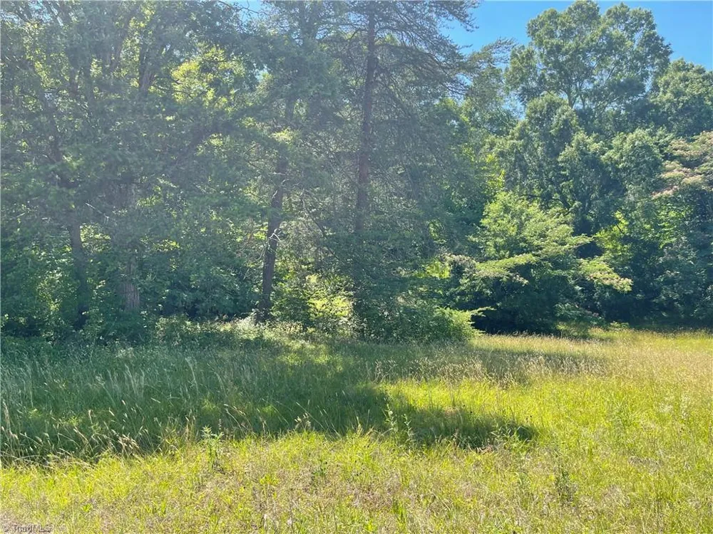 1306 WHITE STREET Lexington, NC 27292