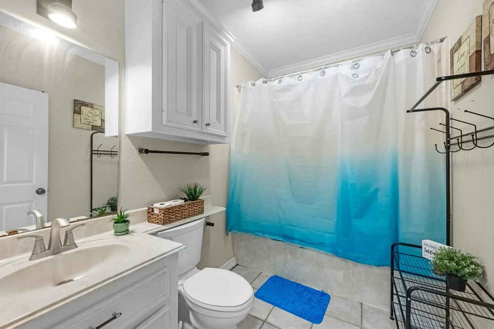 205 Mohawk Lane Wallisville, TX 77597