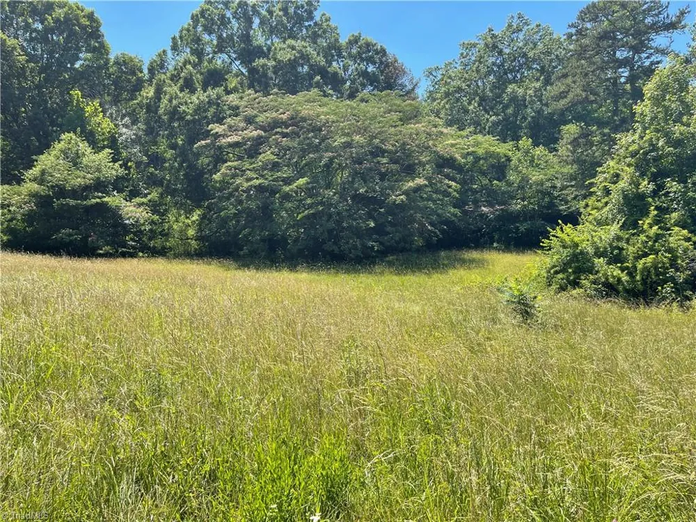 1310 WHITE STREET Lexington, NC 27292