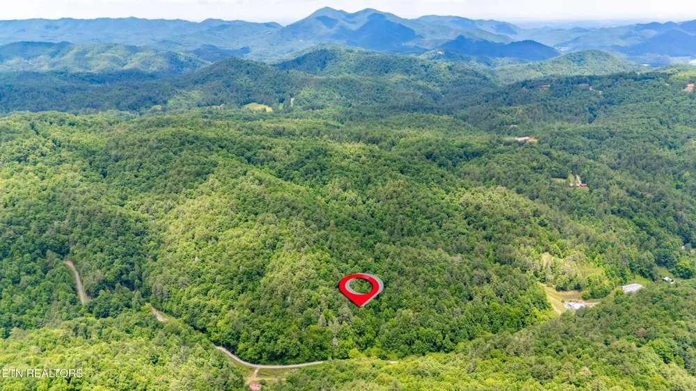0 Johns Creek Rd Del Rio, TN 37727