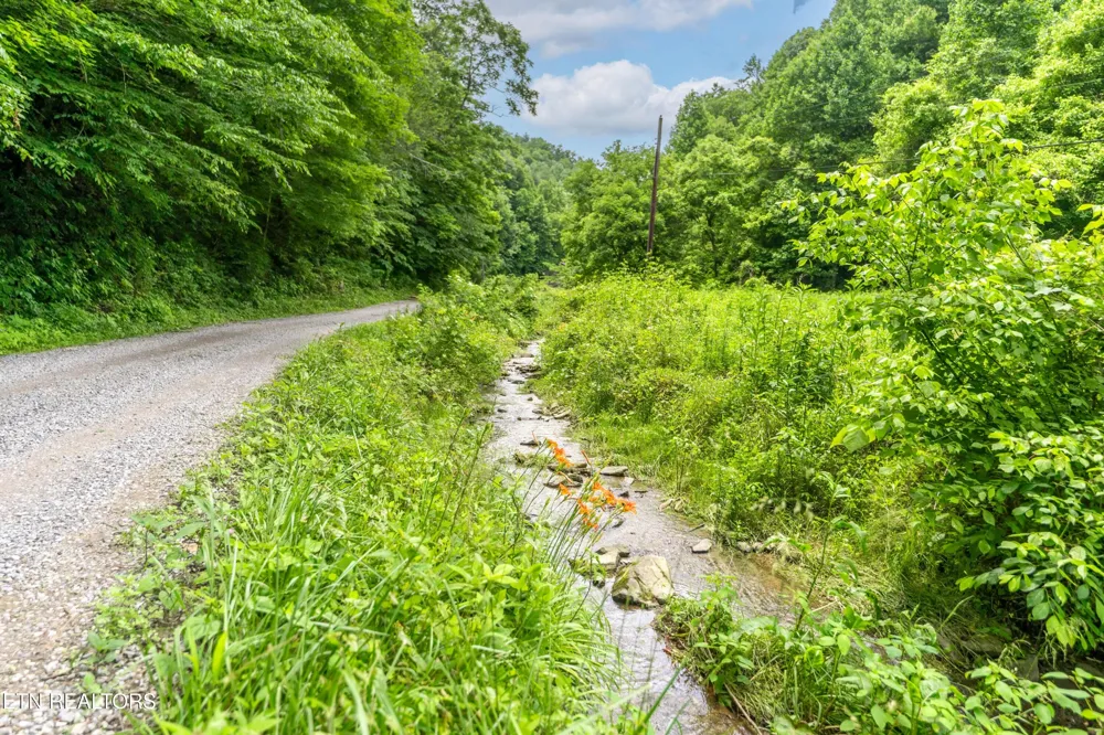 0 Johns Creek Rd Del Rio, TN 37727