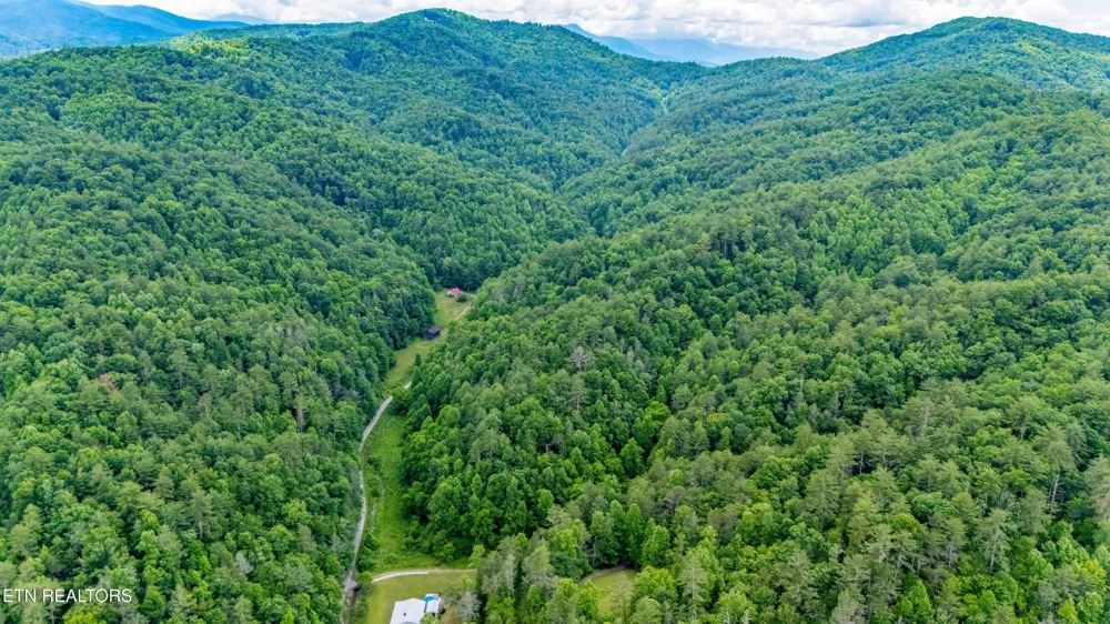 0 Johns Creek Rd Del Rio, TN 37727