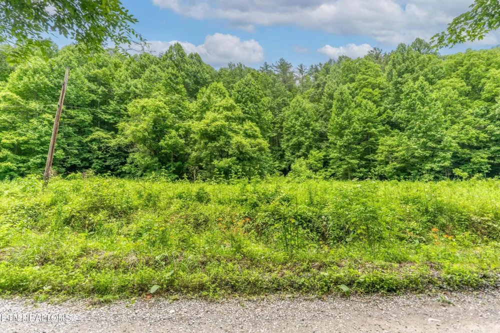 0 Johns Creek Rd Del Rio, TN 37727