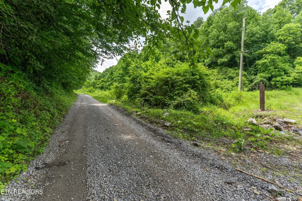 0 Johns Creek Rd Del Rio, TN 37727