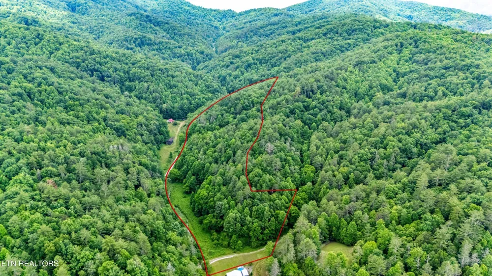 0 Johns Creek Rd Del Rio, TN 37727