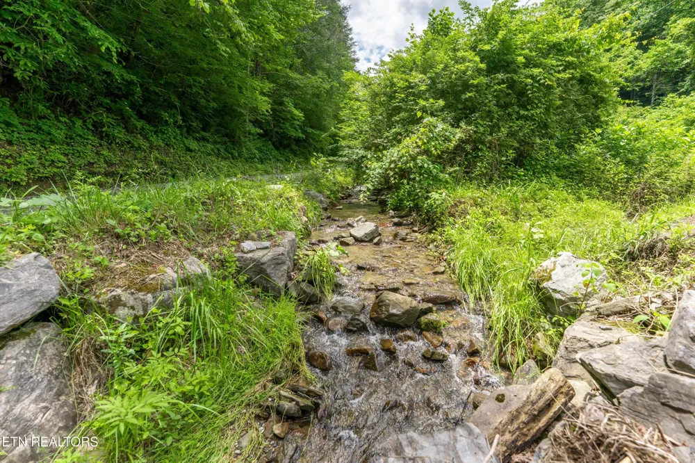 0 Johns Creek Rd Del Rio, TN 37727