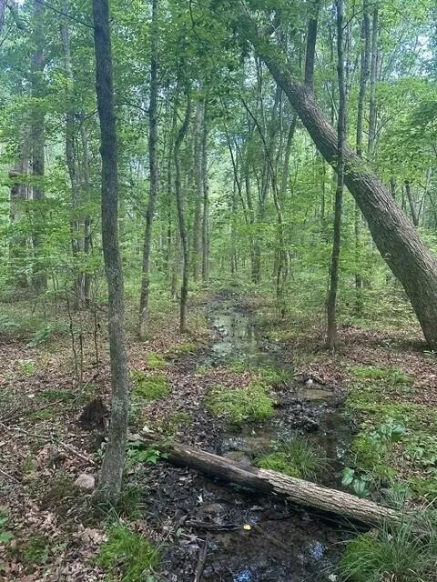43 Bluffs Woods Altamont, TN 37301