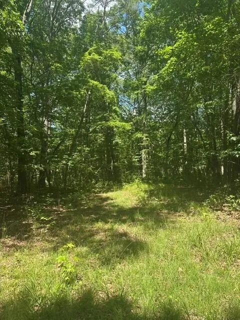 43 Bluffs Woods Altamont, TN 37301