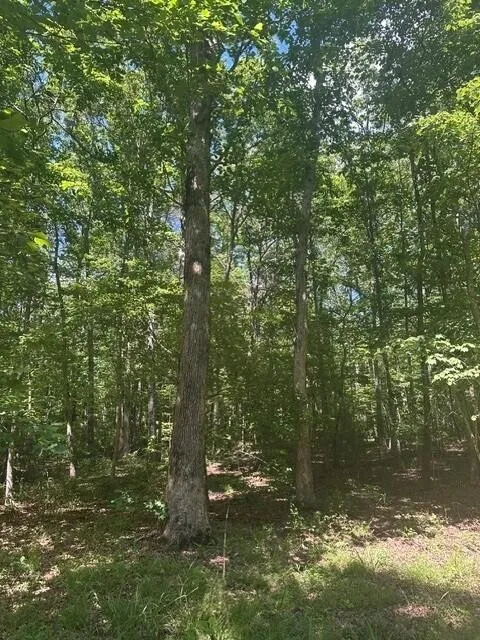 43 Bluffs Woods Altamont, TN 37301