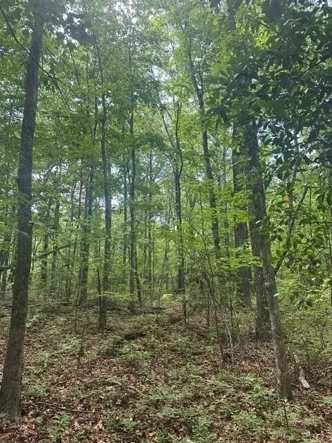 43 Bluffs Woods Altamont, TN 37301