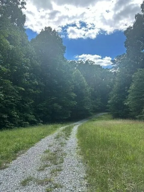 43 Bluffs Woods Altamont, TN 37301