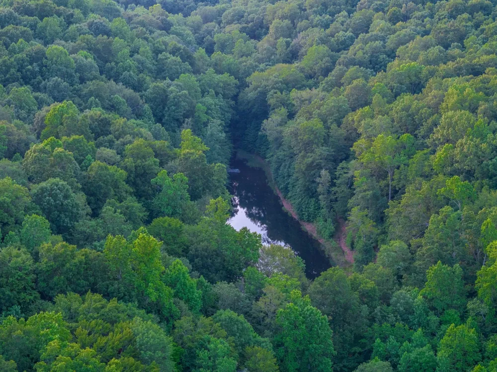 5450 Old Highway 96 Franklin, TN 37064