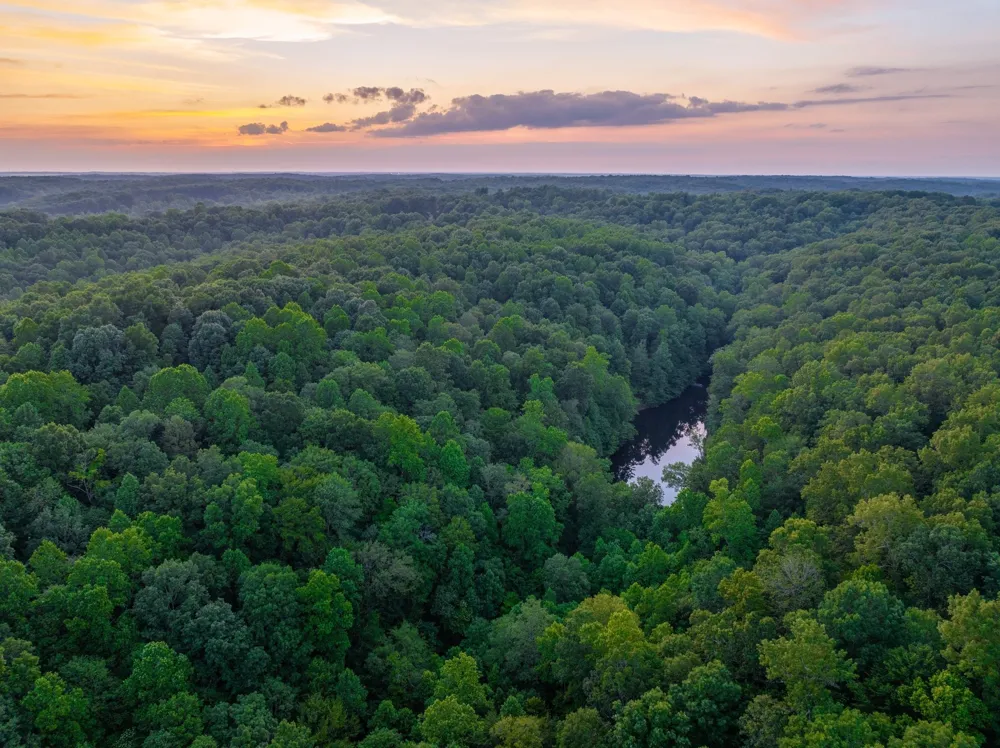 5450 Old Highway 96 Franklin, TN 37064
