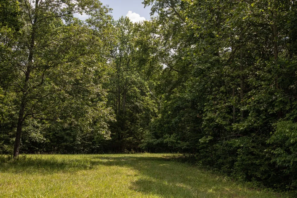 5450 Old Highway 96 Franklin, TN 37064