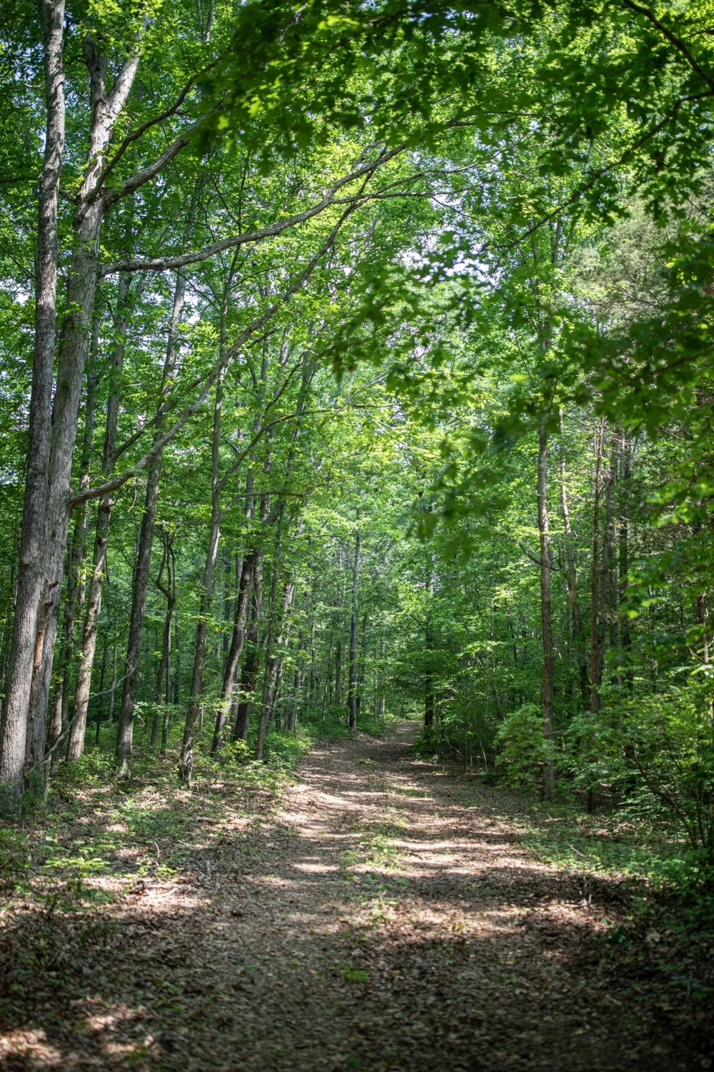 5450 Old Highway 96 Franklin, TN 37064