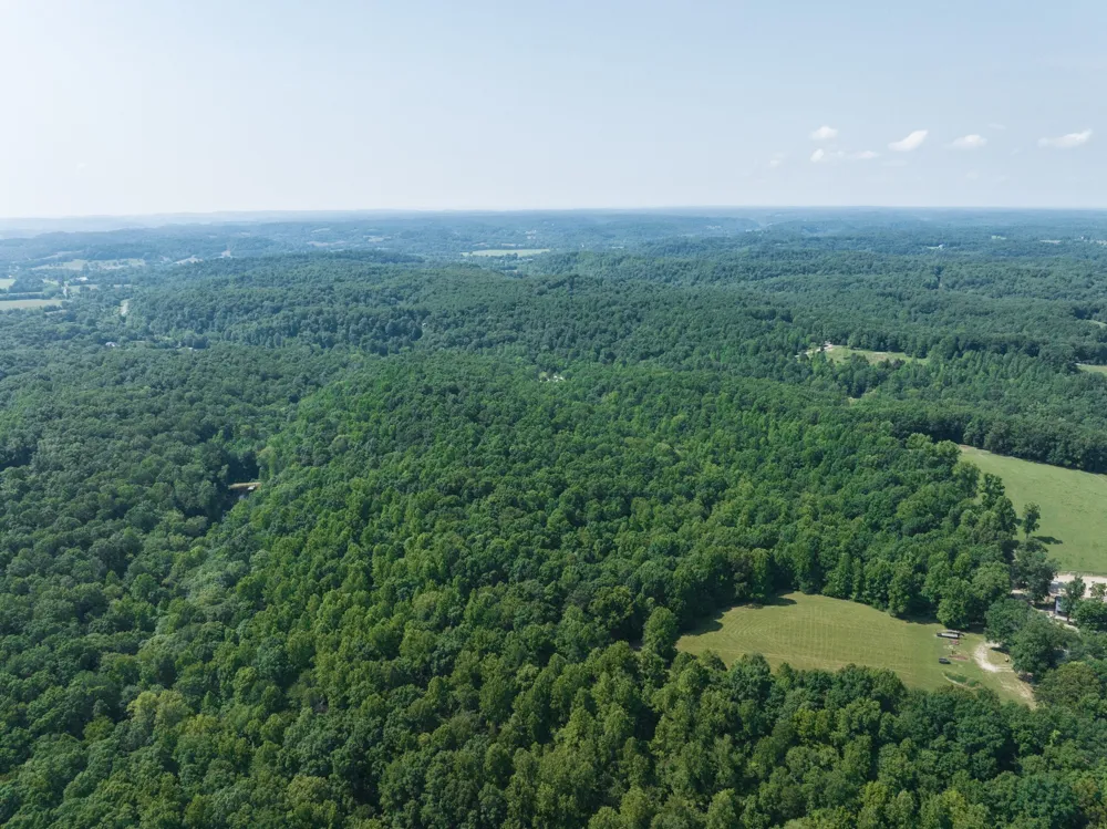 5450 Old Highway 96 Franklin, TN 37064