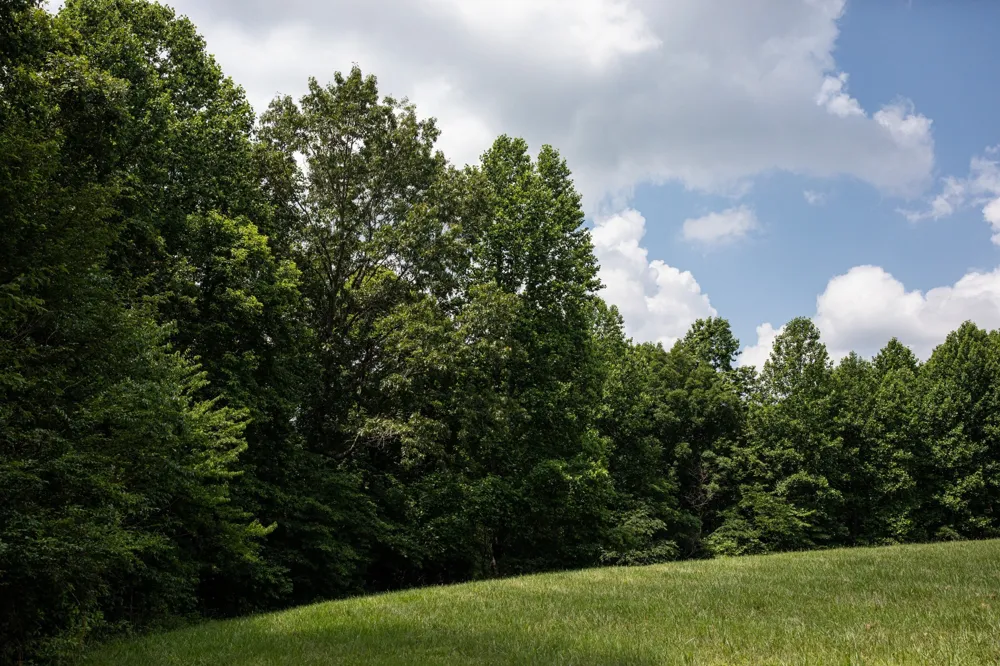 5450 Old Highway 96 Franklin, TN 37064