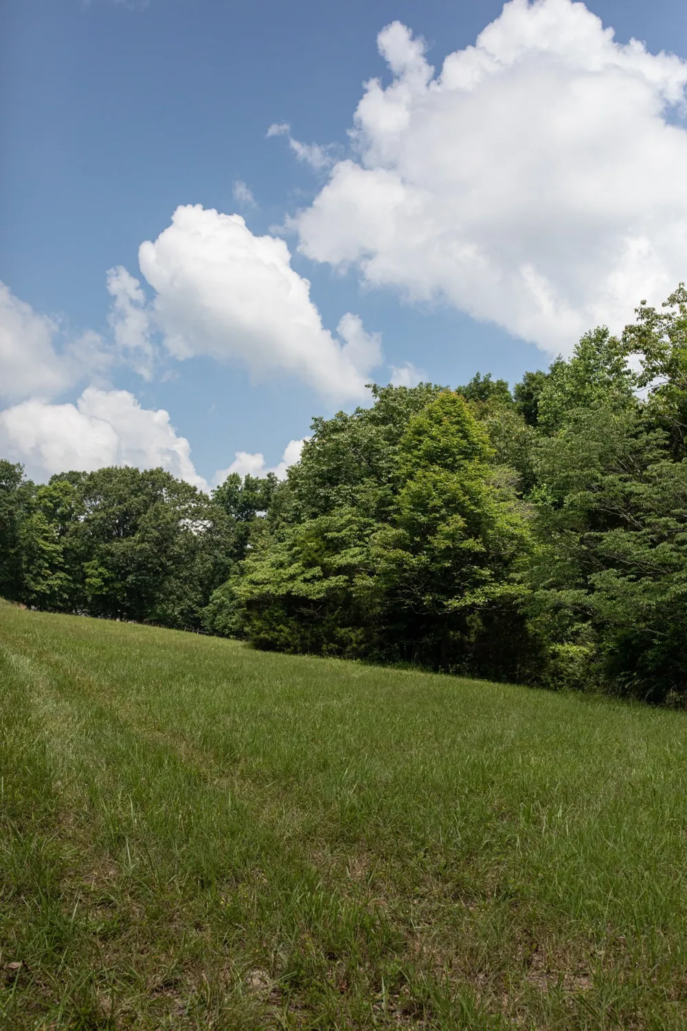 5450 Old Highway 96 Franklin, TN 37064