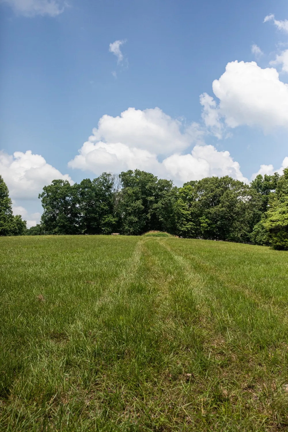 5450 Old Highway 96 Franklin, TN 37064
