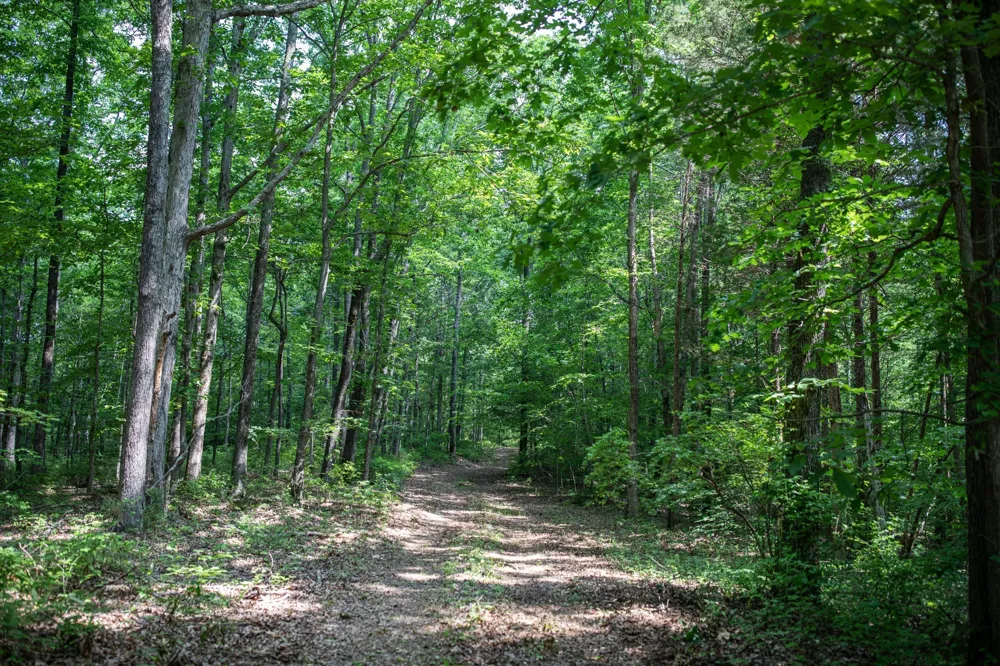 5450 Old Highway 96 Franklin, TN 37064