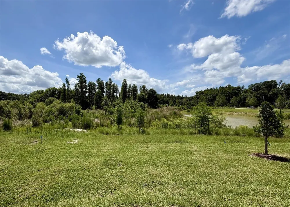 1483 BREKEY WAY Zephyrhills, FL 33541