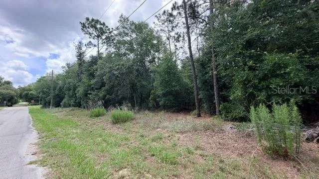 3223 E SCOFIELD ST Inverness, FL 34453