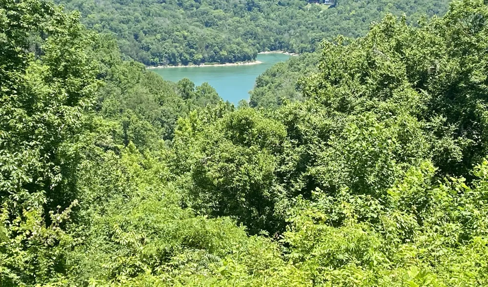 0 Dogwood Place Smithville, TN 37166