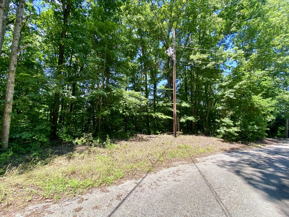 0 Dogwood Place Smithville, TN 37166