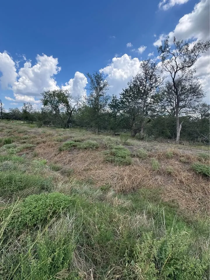 225 Brinley Mae Way Lockhart, TX 78644