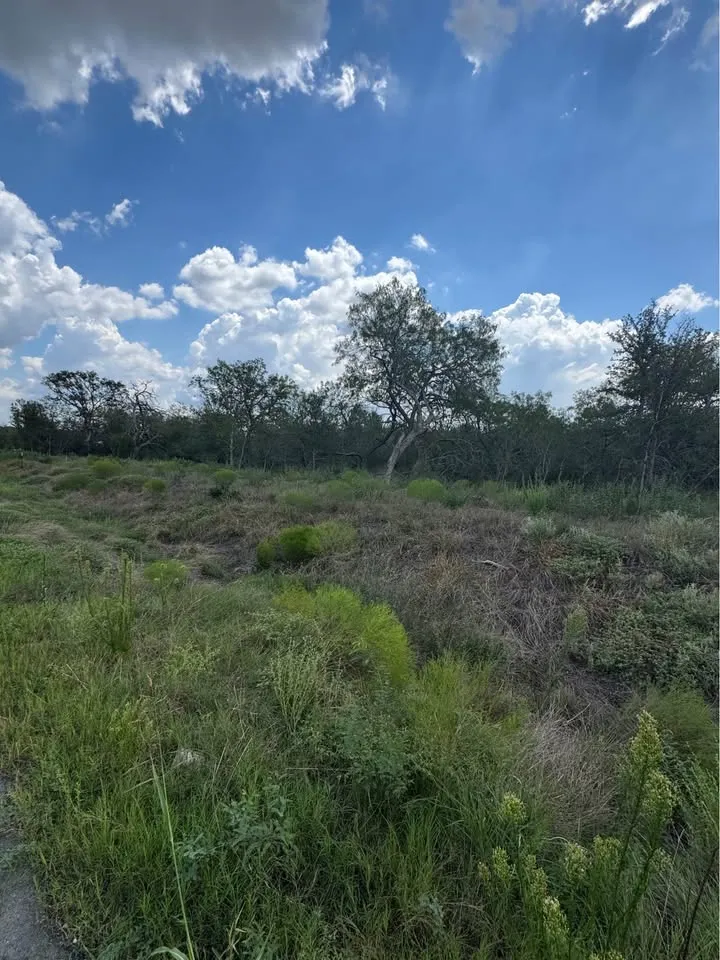 225 Brinley Mae Way Lockhart, TX 78644
