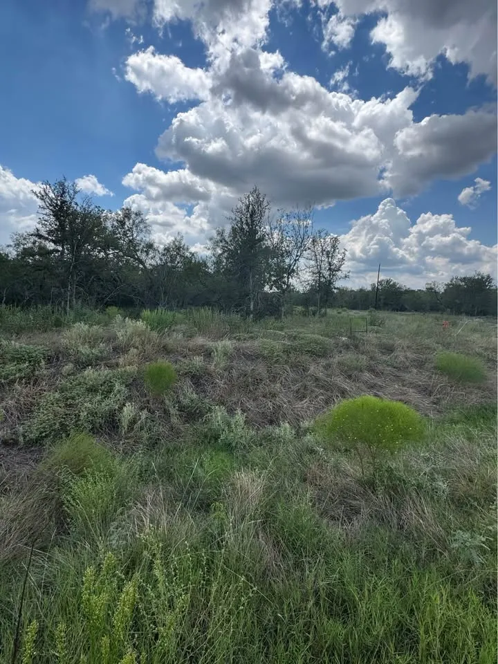 225 Brinley Mae Way Lockhart, TX 78644
