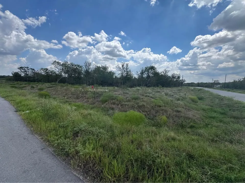225 Brinley Mae Way Lockhart, TX 78644