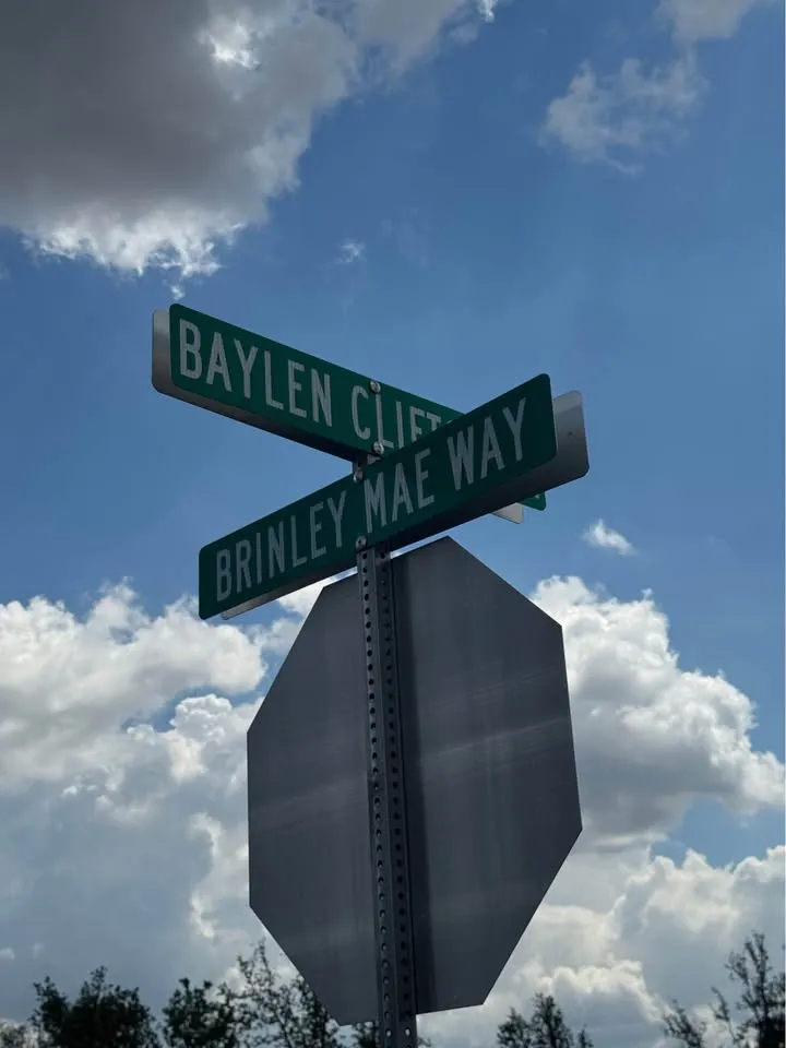 225 Brinley Mae Way Lockhart, TX 78644