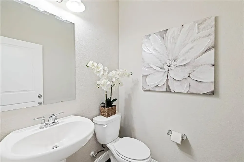 165 Carlina Loop Liberty Hill, TX 78642