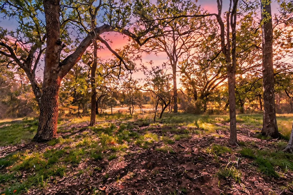 1400 Valley View Road Wimberley, TX 78676