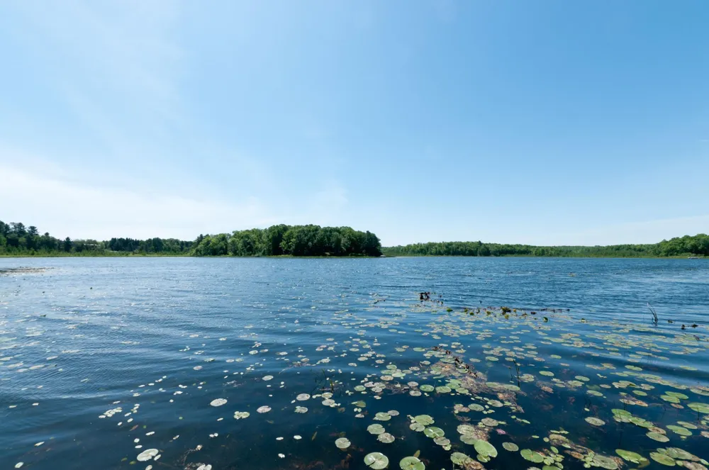 N2992 Jesse Road Sarona, WI 54870