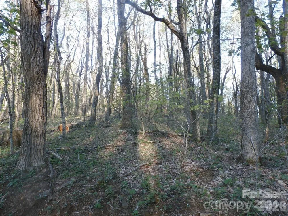 288 Firetower Road Spruce Pine, NC 28777