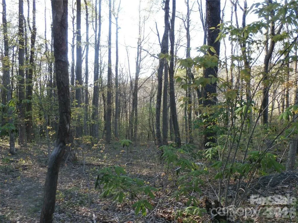288 Firetower Road Spruce Pine, NC 28777