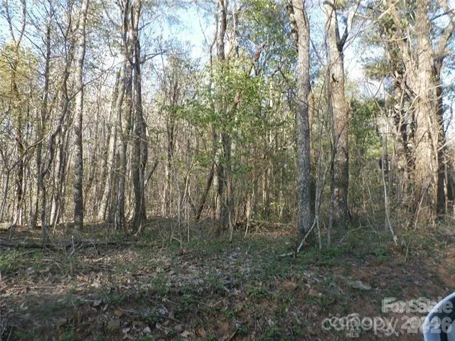 288 Firetower Road Spruce Pine, NC 28777