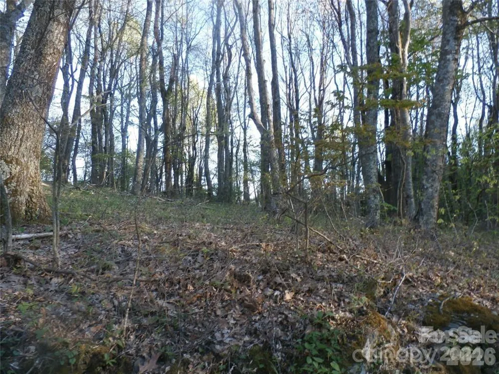 288 Firetower Road Spruce Pine, NC 28777