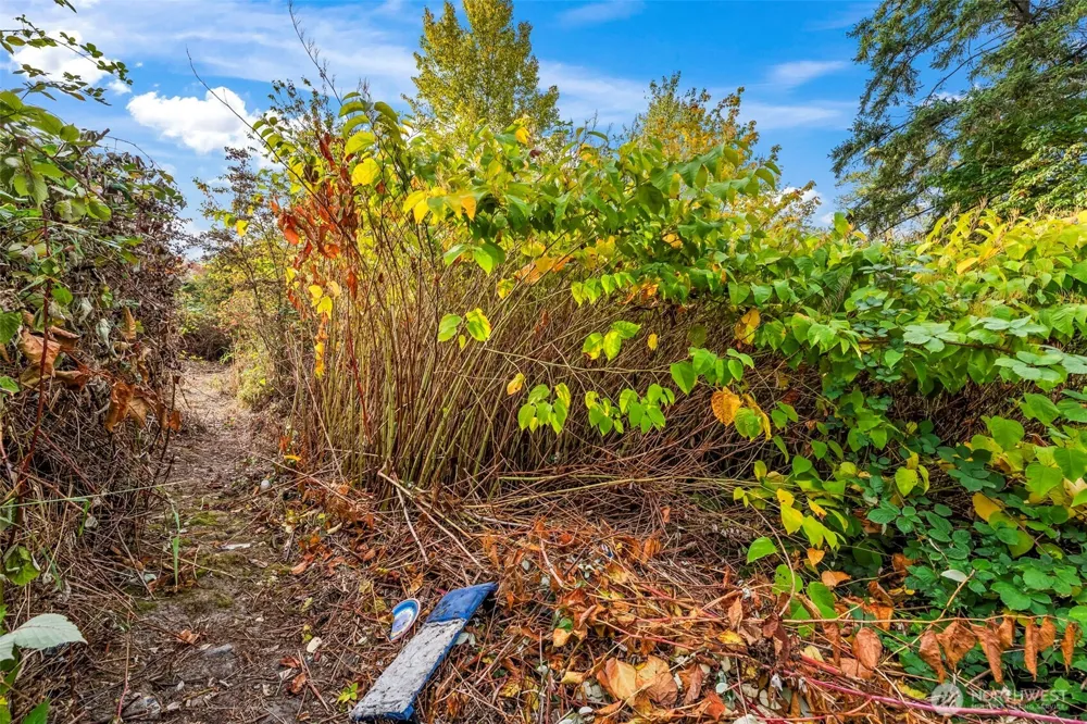 0 Fir Street Milton, WA 98354