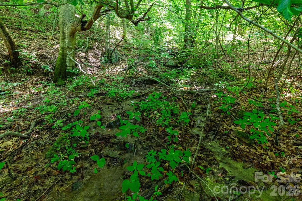 329 Fork Road Barnardsville, NC 28709