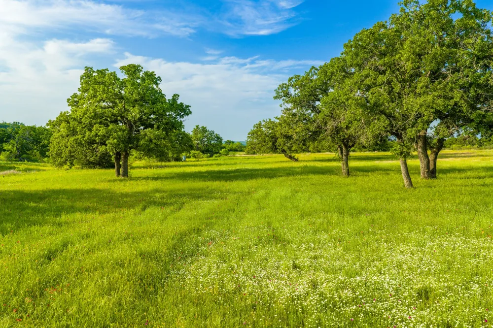 11079 Cr 266 Rochelle, TX 76872