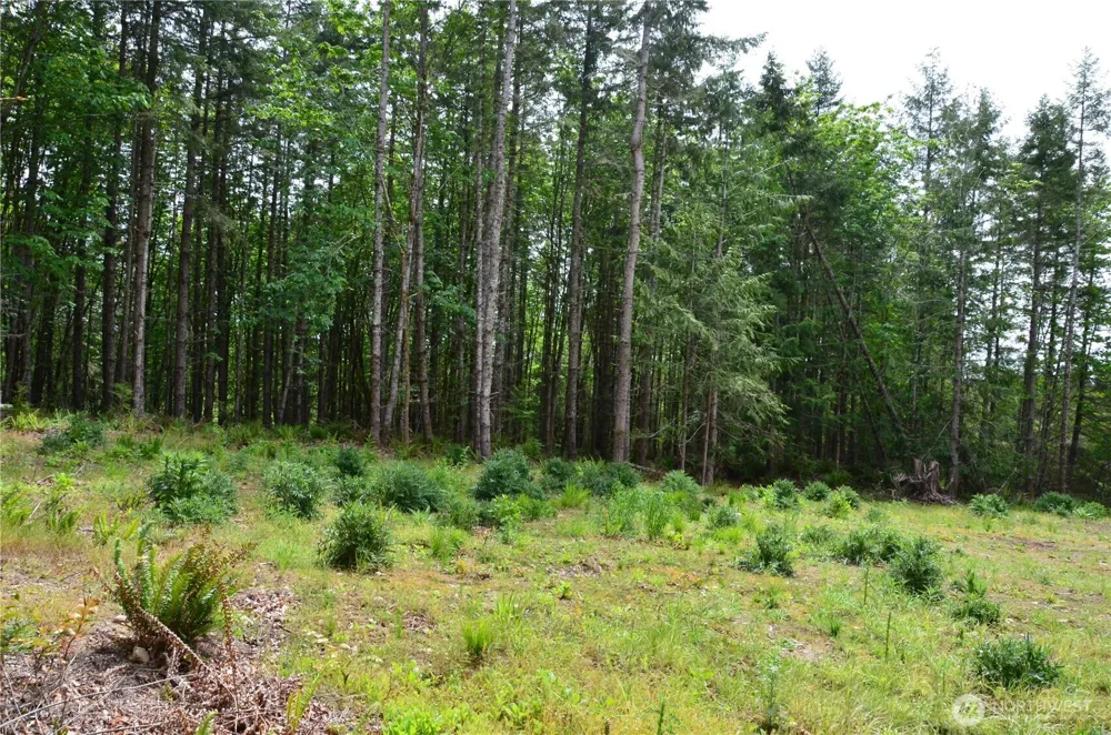 110 Country Ridge Road Chimacum, WA 98325