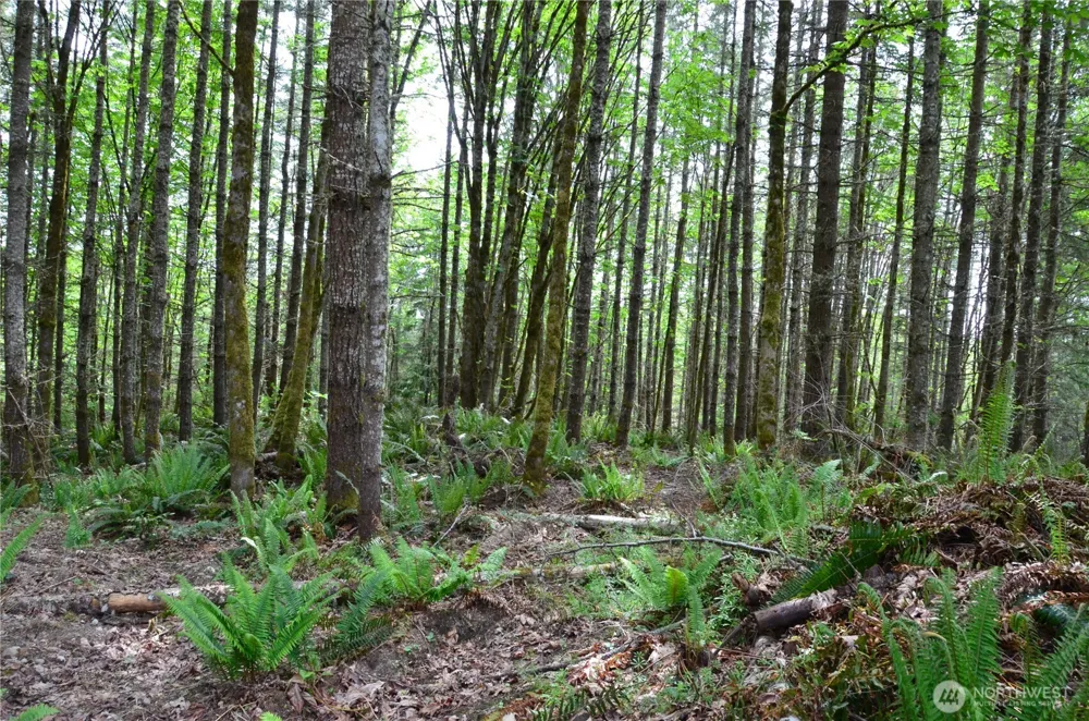 110 Country Ridge Road Chimacum, WA 98325